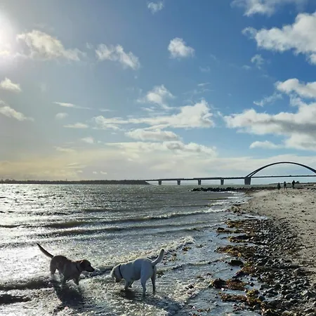 Ferienresidenz Haus Vogelflug Strandresidenz Vogelflug App 18 Apartamento Fehmarn